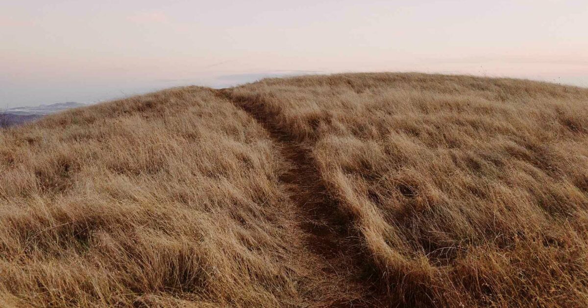 You can now customize your list of call purposes for activity tracking