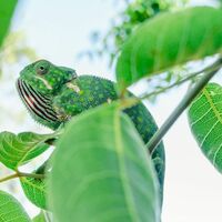 Affiliate never should have been a marketing channel