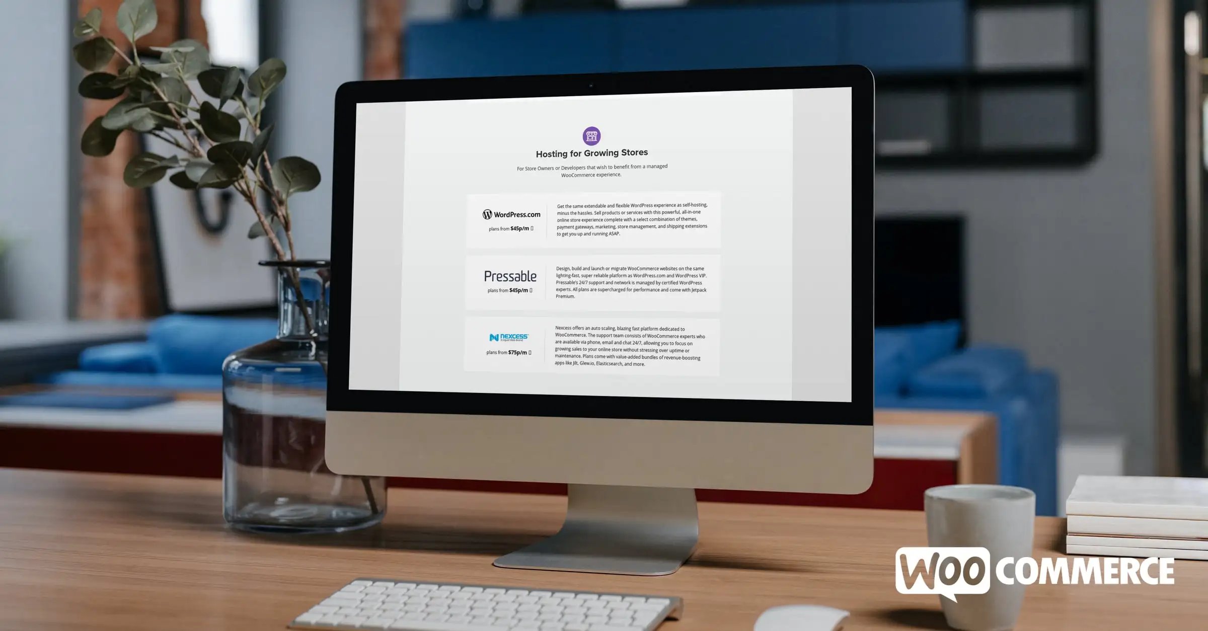 Choosing a Powerful Host for Your Growing eCommerce Store
