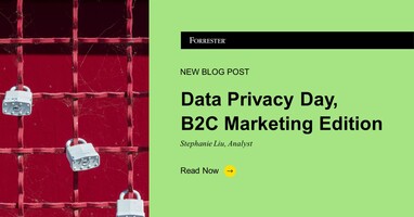 Data Privacy Day, B2C Marketing Edition