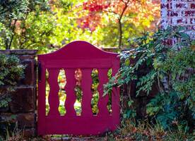 Gated Content: 7 Steps to Generate Leads (+Examples)