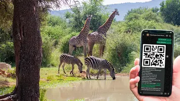 WhatsApp Marketing in Action when traveling Africa | Spotler 