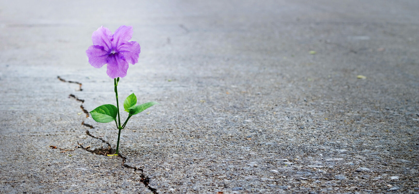 How Advertisers Can Succeed During Uncertain Times