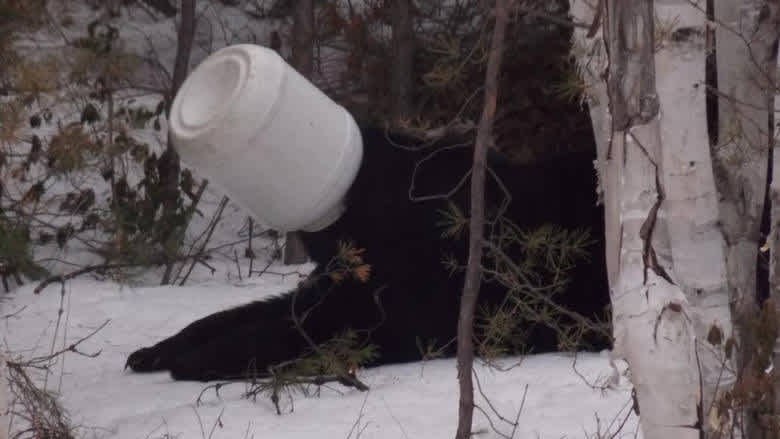 Protecting Your Deliverability with Honeypots 