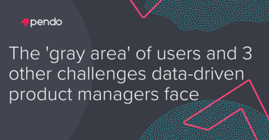 The 'gray area' of users and 3 other challenges data-driven product managers face - Pendo Blog