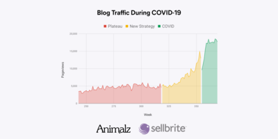 Niche Down to Scale Up: A Case Study in Ecommerce Content Marketing