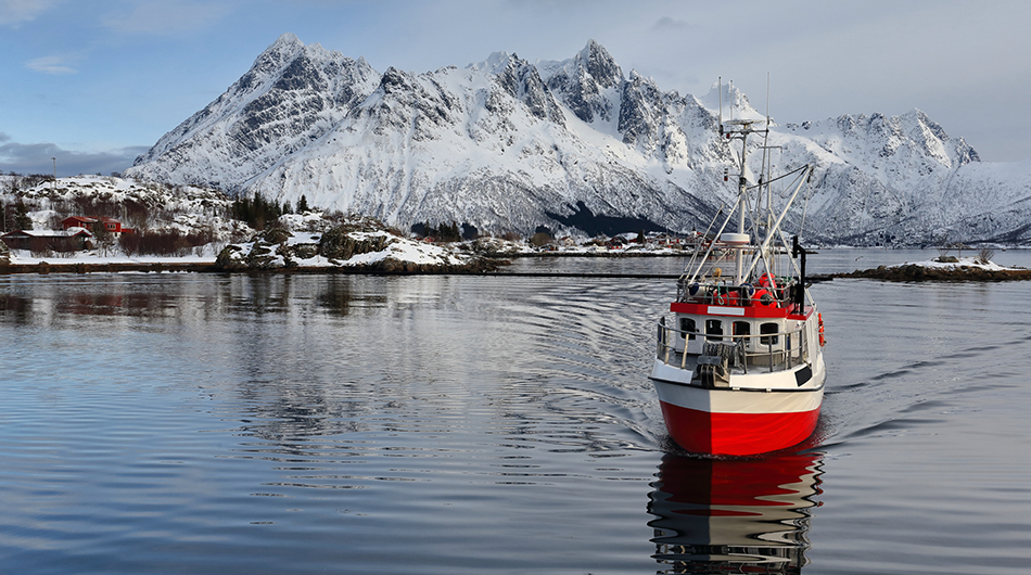 Phishing vs Spear Phishing: Differences and Examples