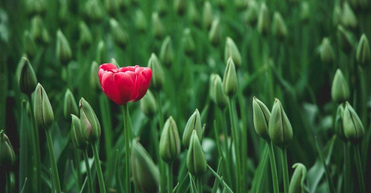 How We're Different than HubSpot