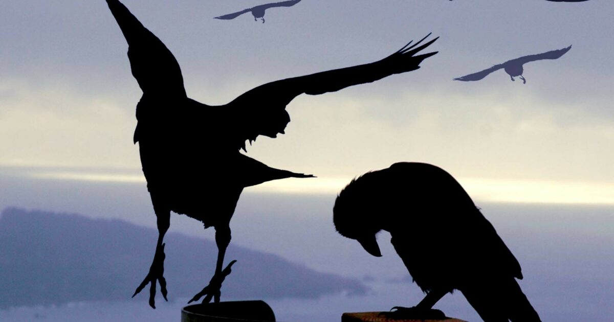 Use improv's CROW principle to build better connections with prospects