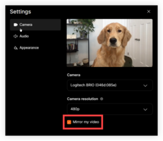 Customize your event experience: introducing exciting new Webex Events features
