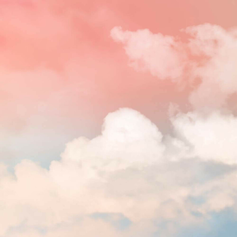 Multi-tenant vs single tenant: Not all clouds are equal