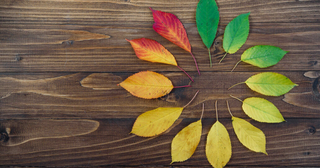 The full lifecycle guide to product marketing