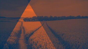 Don't Obsess About the Competition