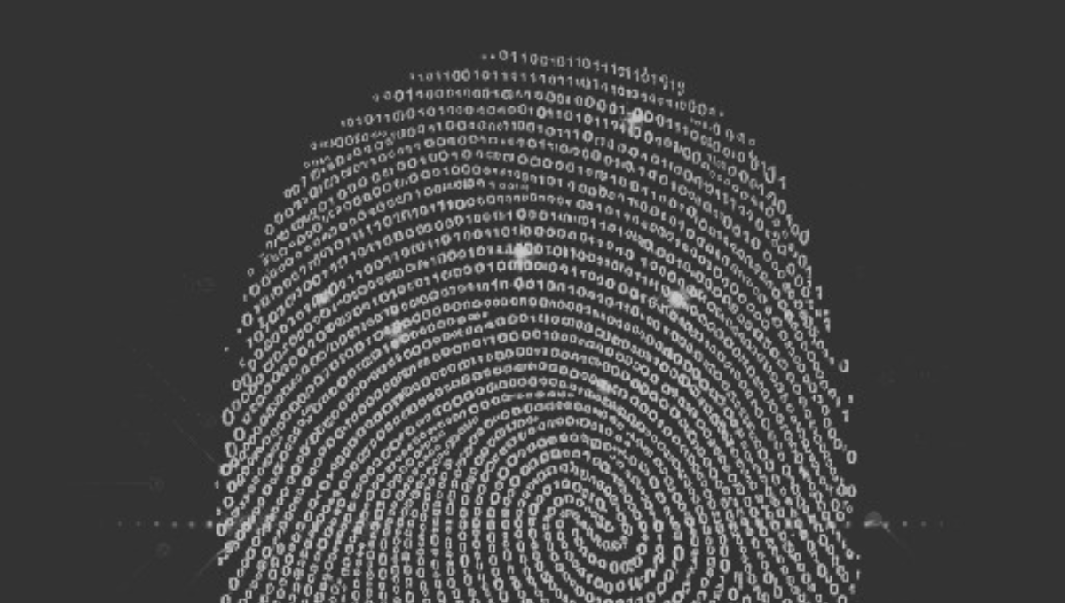 The "Cookie-less" Promise: A Clear-Eyed Look at Browser Fingerprinting