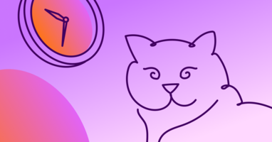 Best Times to Post on Instagram