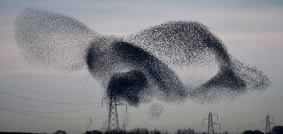 Don't let your users become a Twitter mob | Inside Intercom