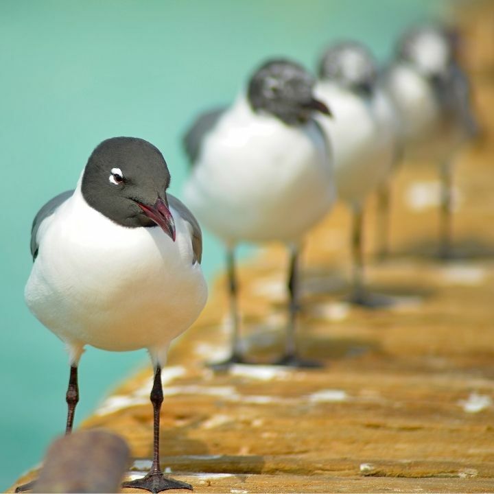 What growth marketers can learn from partnership leaders