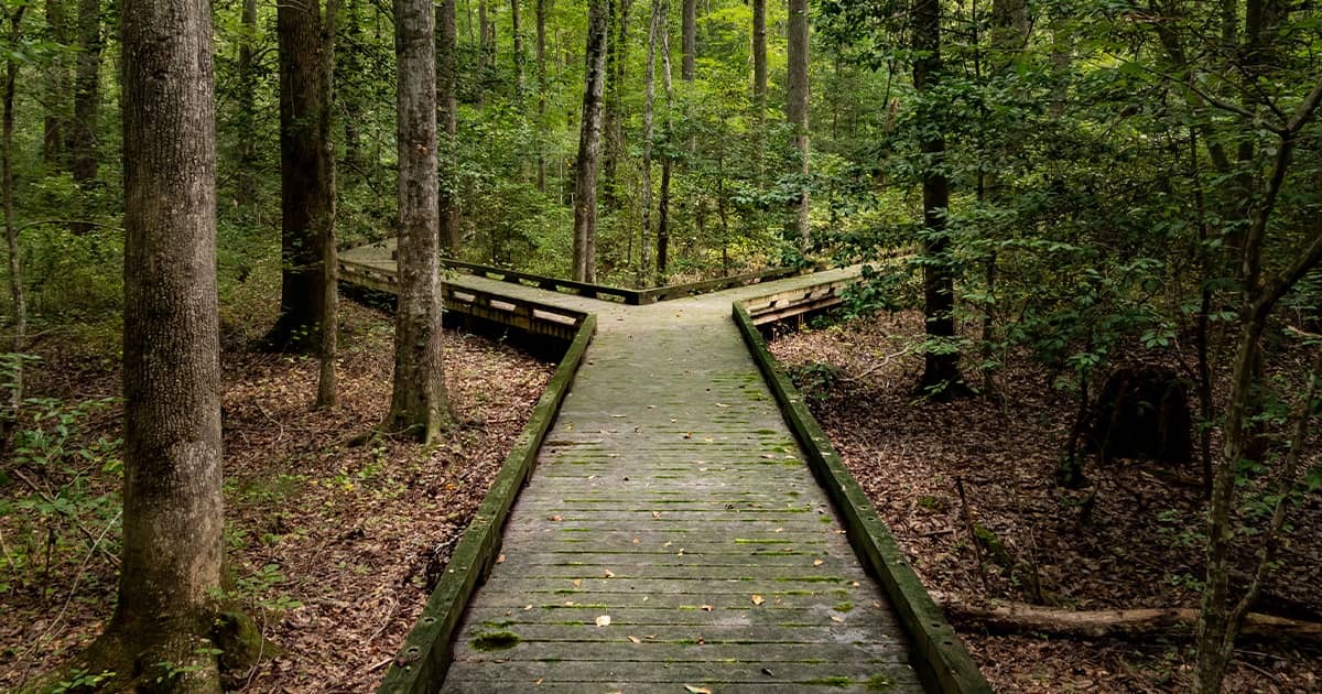 Netlify and Vercel Alternatives