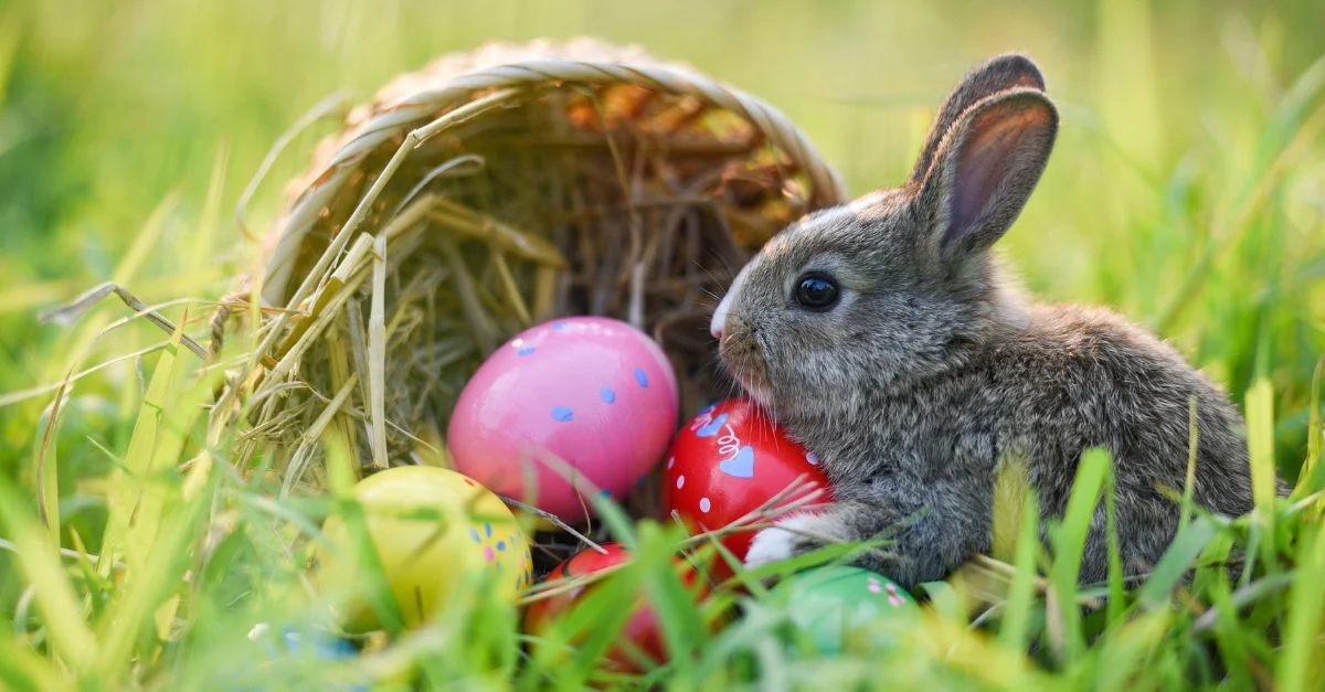 79 Easter Greetings & Messages for Every Bunny in Your Target Audience