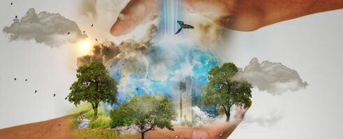 Let's Talk About True Entrepreneurship