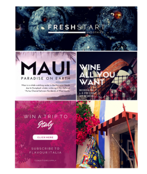 What Software is for Facebook Ads Management?