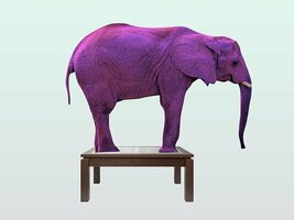 A Couple Tricks to Master Marketing Images