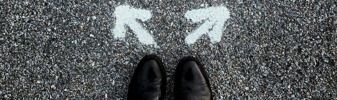 Affiliate networks vs. affiliate tracking software