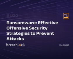 Ransomware: Effective Offensive Security Strategies to Prevent Attacks