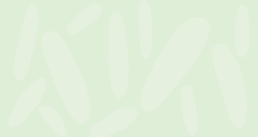 Mailchimp vs. Klaviyo: A Marketing Platform Comparison