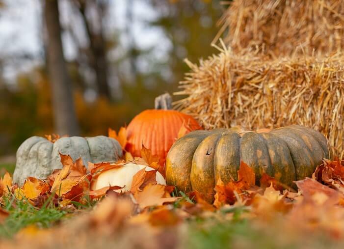 21+ Free and Effective October Marketing Ideas for Small Businesses