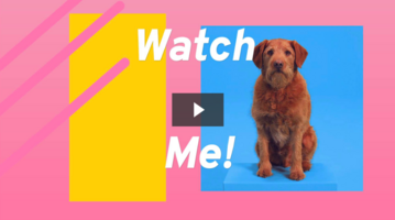 6 Actionable Tips for Improving Emails with Video 📩