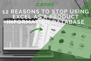 12 Reasons Why Excel for Product Information Management Doesn't Work