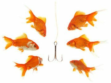 How We Got a Link from The New York Times