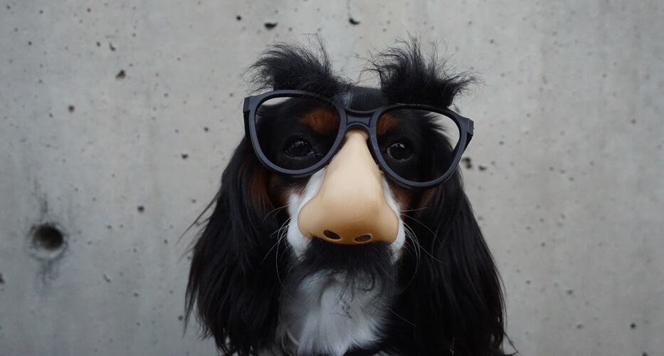 10 fun facts about digital asset management