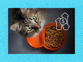 2023 MediaRadar Prediction: Pet Advertisers Pullback After Pandemic Shopping Spree