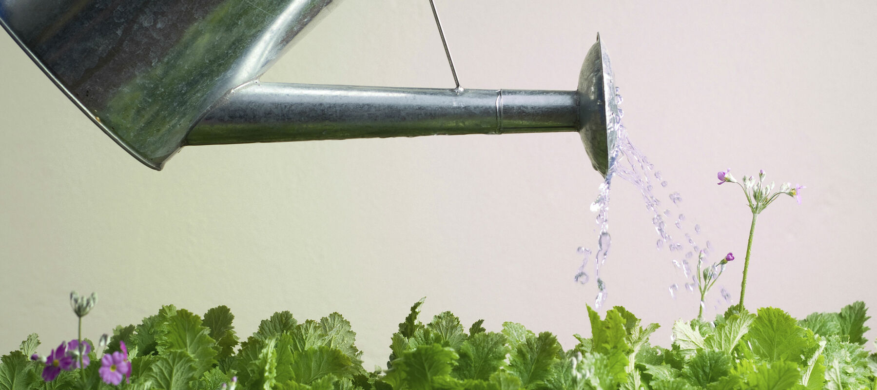 Lead nurturing: the channels you should be thinking about | dotdigital blog