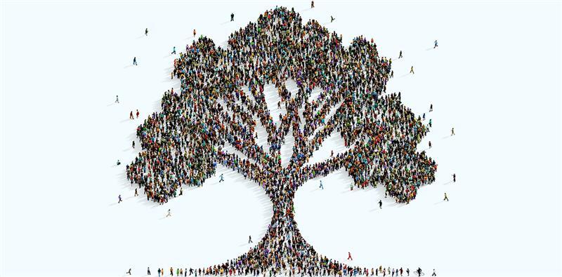 Partner Relationship Management: Evolution & Strategy