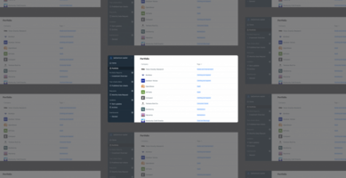 Portfolio Management: What it is and How Visible Can Help