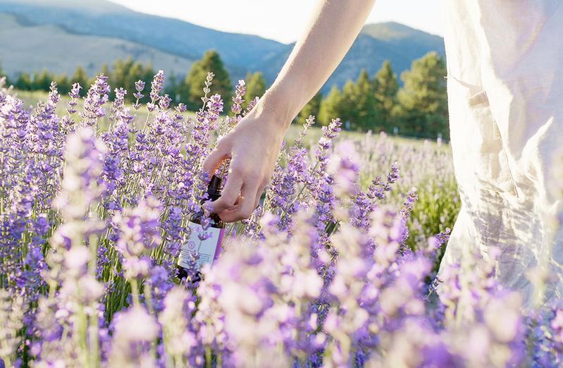 Aromatics Grows Revenue from Advertising by 169%