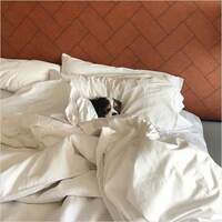 A Writing Prompt for an Anxious World