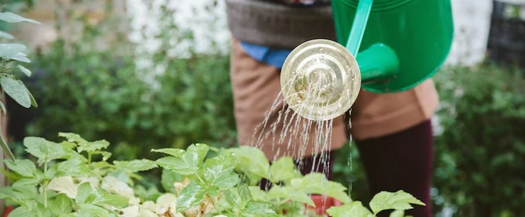 19 Lead Nurturing Email Examples You'll Want to Steal