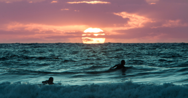 Snowflake | Case Study