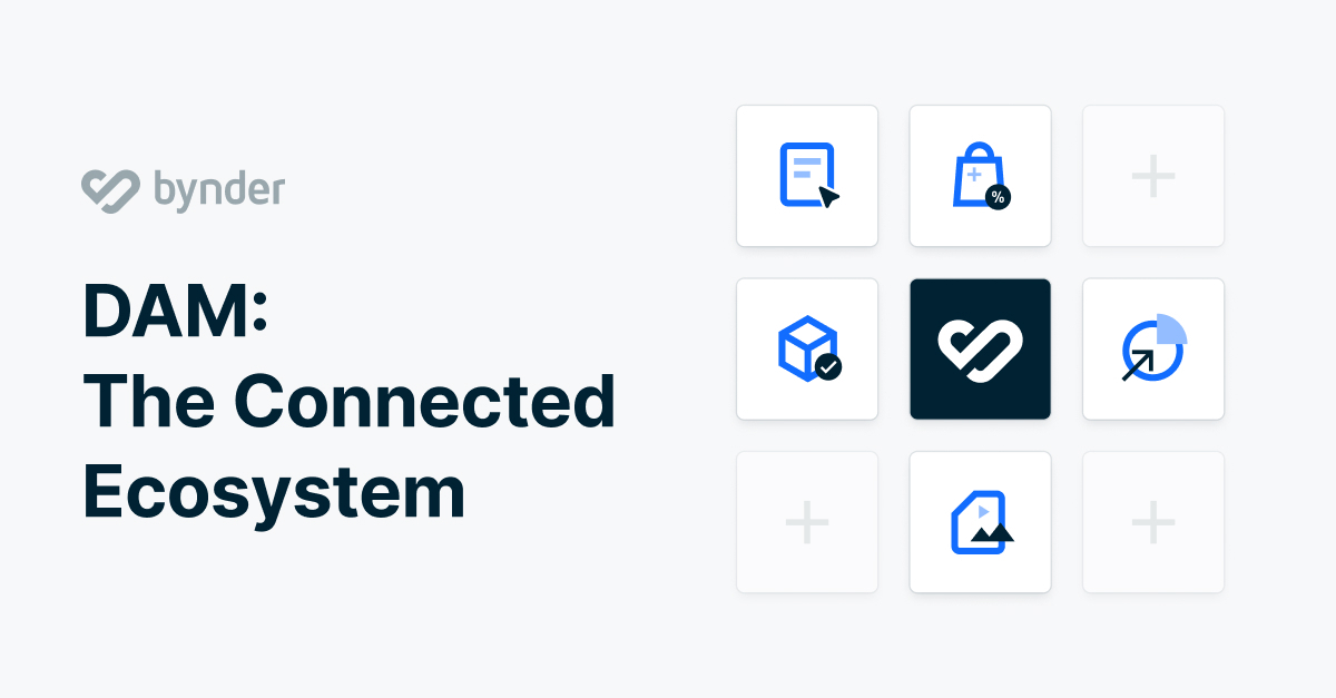 DAM: The Connected Ecosystem
