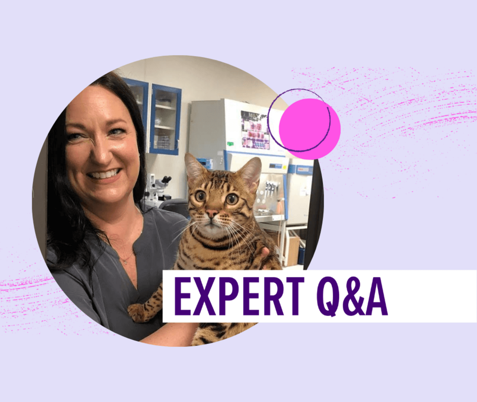 The Do's and Don'ts of Marketing Pet Cloning