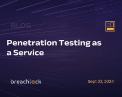 Penetration Testing as a Service