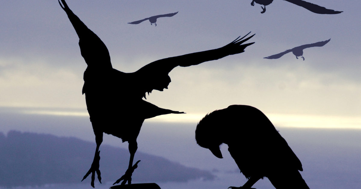 Use Improv's CROW Principle to Build Better Connections with Prospects
