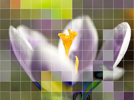 Finance a Purchase in 10 Minutes: Buy Way's Digital Transformation Example