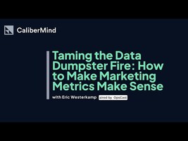 Taming the Data Dumpster Fire: How to Make Marketing Metrics Make Sense