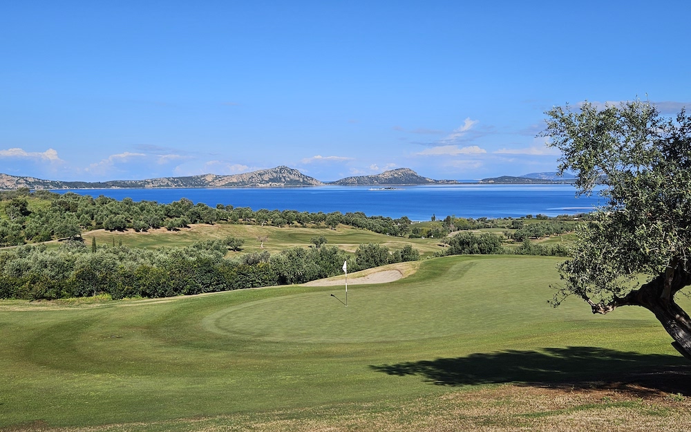 There Are No Handicaps in Sales