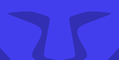 Server Meaning & Definition 